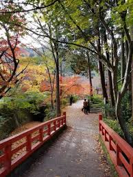 フォトジェニック 京都亀岡市のおすすめ紅葉スポットに行ってきました 苗秀寺 神蔵寺 桜天満宮 亀岡ネット 京都 亀岡 神蔵 紅葉