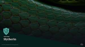 Here you can find the best hd slytherin wallpapers uploaded by our community. Try Out Our New Harry Potter Themed Video Call Backgrounds Wizarding World