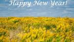 Happy Year 2018: Wishes, Quotes,