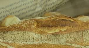 La Magie Du Pain Le Levain Tout Simplement