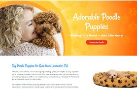We would like to show you a description here but the site won't allow us. Web Design New Holland Pa Website Examples From New Holland Pa Companies