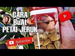 Untuk proses pemupukan, pupuk yang diberikan dapat tanaman jeruk memang membutuhkan air yang cukup banyak pada awal masa penanaman, penyiraman pada pohon jeruk harus dilakukan 2. Petai Jeruk Youtube