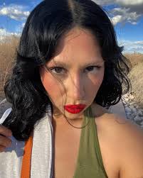 Arshneel and Rinkle Indian Matchmaking