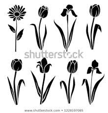 Set Of Silhouettes Of Flowers Chamomile Iris Daisy Tulip Wild And Garden Flowers Vector Black Color Isol Flower Silhouette Flower Outline Iris Flowers