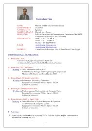 Not everyone finds it easy to write his or her marriage resume despite having a very well made professional resume for job. Moheebsattar Curriculum Vita