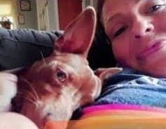 Ms. Lisa "6'2" Fay Powell Obituary