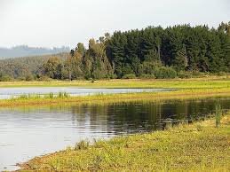 Se encuentra próximo a los tranques las cenizas y la invernada por el norte, y el tranque la luz por el sur. Lago Penuelas Ecured