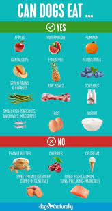 25 Human Foods That Dogs Can And Cannot Eat Dogs Naturally Human Food For Dogs Can Dogs Eat Foods Dogs Can Eat