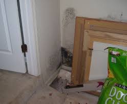 If this is your situation, run. Home Hygrometer To Prevent Mold