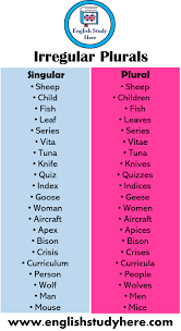 21 Irregular Plurals Words List English Study Here