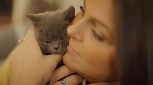 Fur Babies: Season 1, Episode 1