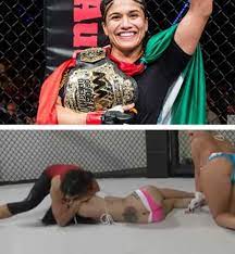 8 MMA fighters who appeared in pornographic videos - MMA Underground