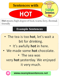 Sentences With Hot Definition And Example Sentences Example Sentences Sentence Examples Sentences Definitions