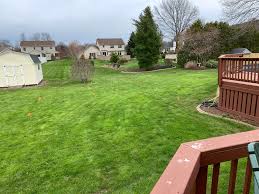 Watch more how to take care of your lawn & garden videos: How To Start A Vegetable Garden From Scratch Without Raised Beds Pretty Simple Sara