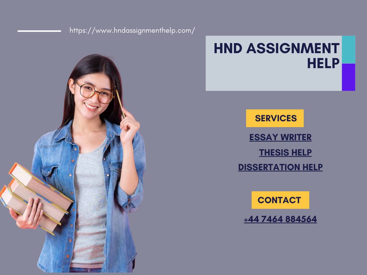 Assignment Help product image