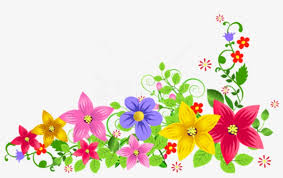 Flower border clip art views: Free Png Download Transparent Floral Decoration Clipart Horizontal Flower Border Clipart Transparent Png 850x540 Free Download On Nicepng