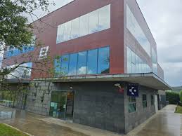 Brenda Trindade best performances