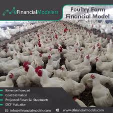 Agriculture Financial Model Templates Bundle Poultry