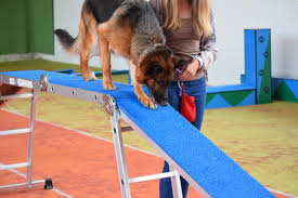 Tässä b&b:ssä on huonepalvelu, sanomalehti ja. Landhotel Haus Waldeck Urlaub Mit Hund Superior Philippsreut Aktualisierte Preise Fur 2021