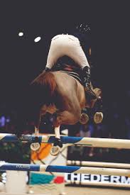 Les groupes 1 et 2 rassemblent des couples en fonction de leurs performances sportives, dans le respect de la charte du sport de haut niveau de la ffe. Dans Ce Numero Quand Le Haut Niveau Enleve Les Fers Cheval Magazine