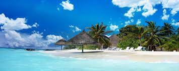 Free Download Wallpaper 2560x1024 Maldives Sand Tropical Beach Palm Trees Dual 2560x1024 For Your Desktop Mobile Tablet Explore 46 Beach Dual Screen Wallpaper Awesome Dual Monitor Widescreen Wallpapers Bing