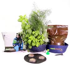 Check spelling or type a new query. Reviews For Seedsheet Gyo Mini Herbs Garden Kit Ssmbg1 The Home Depot