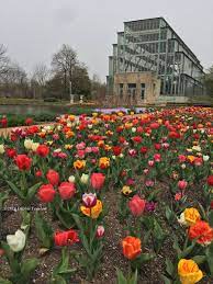 Maybe you would like to learn more about one of these? Debbie Fenelon On Twitter Forest Park In St Louis Missouri Looks Amazing Right Now Get There If You Can Stlouis Stl Saintlouis Explore Travel Flowers Tulips Forestpark Missouri Midwest Spring Https T Co Lkxw69dvvz