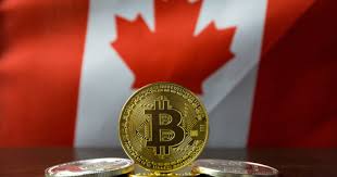 Buy bitcoin instantly in canada with coinberry, the only insured, fintrac registered & pipeda compliant crypto trading platform trusted by canadian municipalities. Newsflash Canadian Bitcoin Trade Hacked Says All Assets Are No More Snapperbuzz