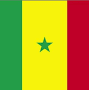 Senegal flag from www.amazon.com