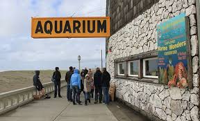 () the city of seaside has been attracting families and ocean goers for more than a century. Oregon Coast For Kids Seaside And Cannon Beach Seaside Oregon Oregon Vacation Oregon Coast