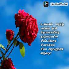 Kanithai Mazhai Love Quotes Quotes Jokes
