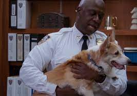 In the words and emotions of captain holt, i am utterly bereft with sadness currently. Stewart The Dog Aka Cheddar On Brooklyn Nine Nine Dies Wtop