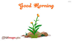 Each good morning gif and good morning quote will make you appreciate this day. Flowers Animated Gif Images