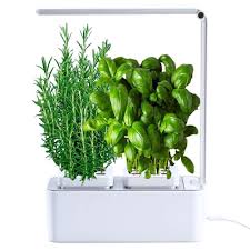 Vervollständigt ein kräutergarten die küche, gehört schale monotonie in warmen und kalten speisen der vergangenheit an. Amzwow Smart Garden Hausgarten Krautergarten Fur Die Kuche Ziehen Sie Ihre Eigenen Aromatischen Krauter Zuhause Keine Kapseln Grow Lampe Smart Led Lampe Enthalten 28 5 X 11 7 X 37 Cm Amazon De Garten