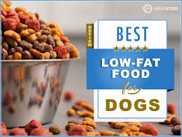 Homemade recipes for dogs with kidney disease 13. Purchase Low Fat Dog Food Pancreatitis Up To 75 Off