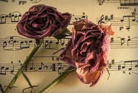 Although fur elise wasn't published during beethoven's lifetime but 40 years after his death it has become one of his most popular piano works, in part because it is a shorter work and easier than. 9 Things You Didn T Know About Fur Elise