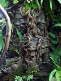 817c2ab699aaca33c6d8714e3049f272 Jpg 720 962 Snake Terrarium Vivarium Reptile Habitat