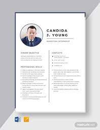 10 Internship Resume Templates Pdf Doc Free Premium Templates