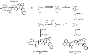 Image result for Ergotamine