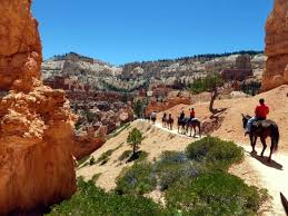 The trail ride was very well organized, the wranglers knew the horses well and paired riders with horses most compati. Bryce Canyon Trail Ride Picture Of Canyon Trail Rides Bryce Canyon National Park Tripadvisor