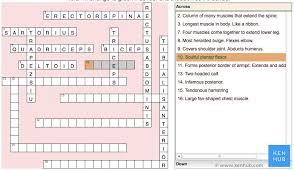 The bones of the skeleton store energy in the form of lipids in areas of yellow bone marrow. How To Learn Anatomy While Playing Games Kenhub