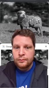 greenscreen #fyp #history