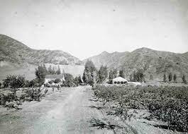 Jacob Miller S Residence At The Mouth Of Nichols Canyon Historic Photography Of Hollywood 1884 California History Hollywood Photo Tourist