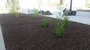 Lavadur Als Rindenmulchersatz In Einem Neu Angelegtem Beet Hier Graser Gartenpflege Gartengestaltung Garten