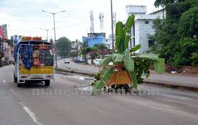 Resultado de imagen de Tree protection agencies