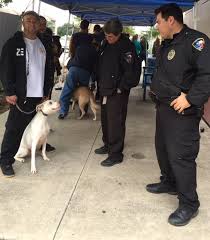 Humane society silicon valley (hssv) offers affordable spay and neuter surgery for healthy dogs and cats up to the age of 7. Spay Neuter Services