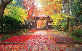 Autunm Paysage Automne Paysage Japon Paysage