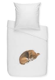 zelf een foto van de katjes op een witte overtrek strijken white linen bedding bean bag chair bed