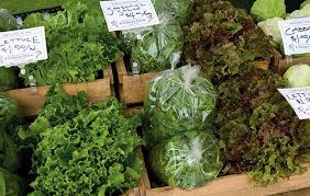 But to maximize lettuce production, plant lettuce in raised. How To Choose Grow The Best Lettuce Tips For Every Grower