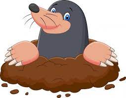 Slovak krtko) is an animated character in a series of cartoons, created by czech. 3 609 Mole Vector Images Free Royalty Free Mole Vectors Depositphotos